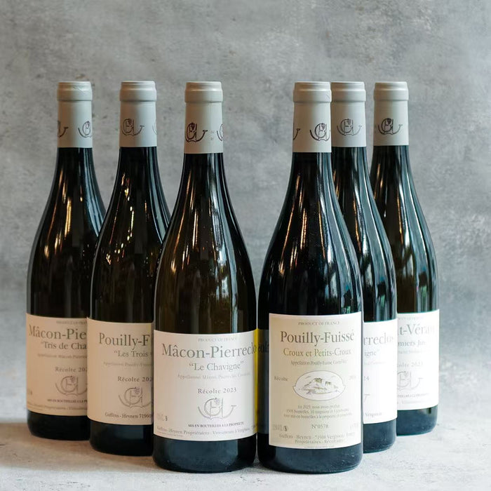 Guffens-Heynen 2024 Collection 16 Bottles Set