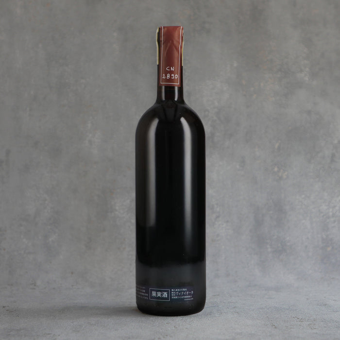 Giovanni Canonica Barolo del Comune di Grinzane Cavour 2017 750ml